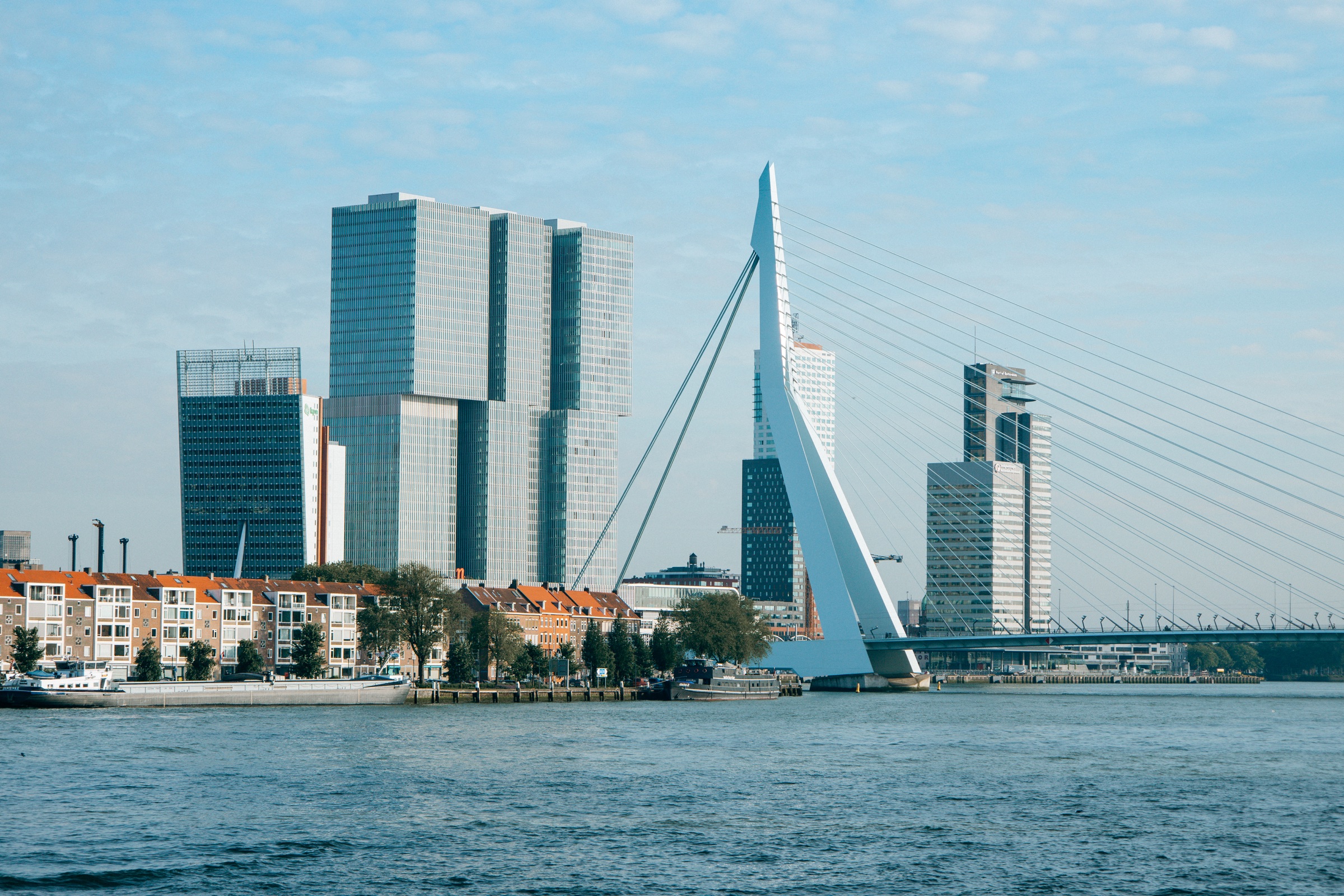 Erasmusbrücke und Skyline in Rotterdam