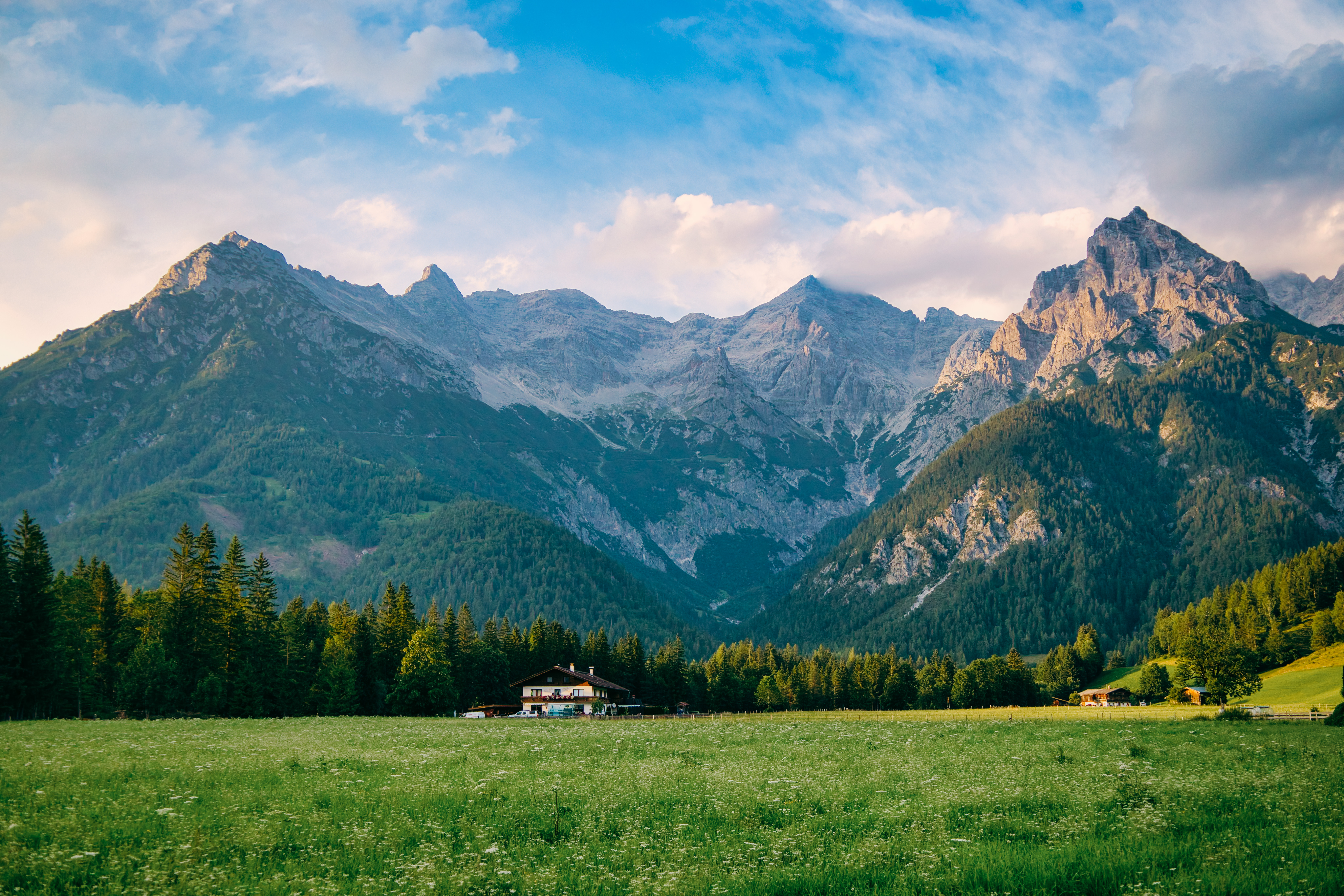 Bergpanorama über einer grünen Wiese