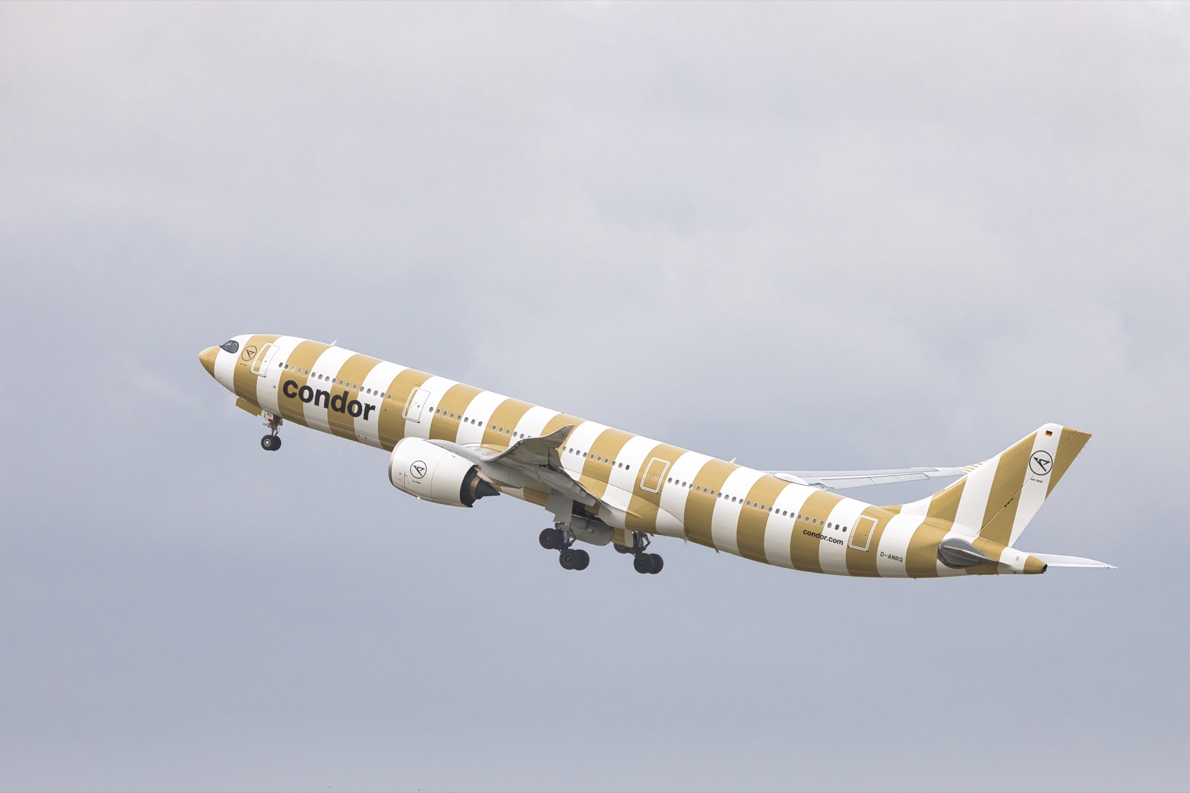 Condor D-ANRQ · EDDL-DUS · Beschleunigung & Take-off · Foto 8