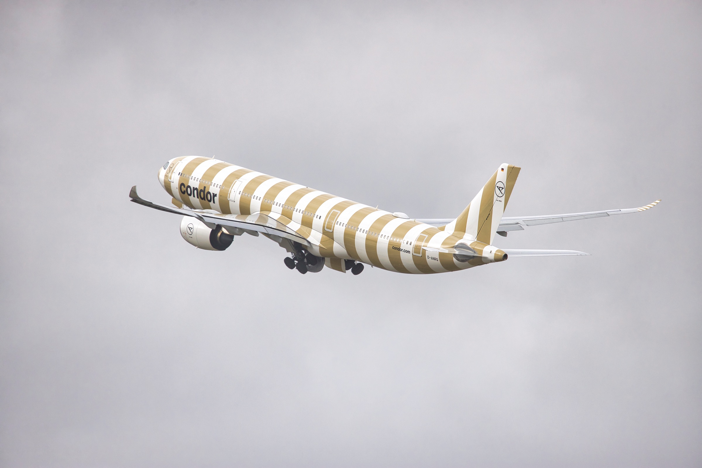 Condor D-ANRQ · EDDL-DUS · Im Flug · Foto 10
