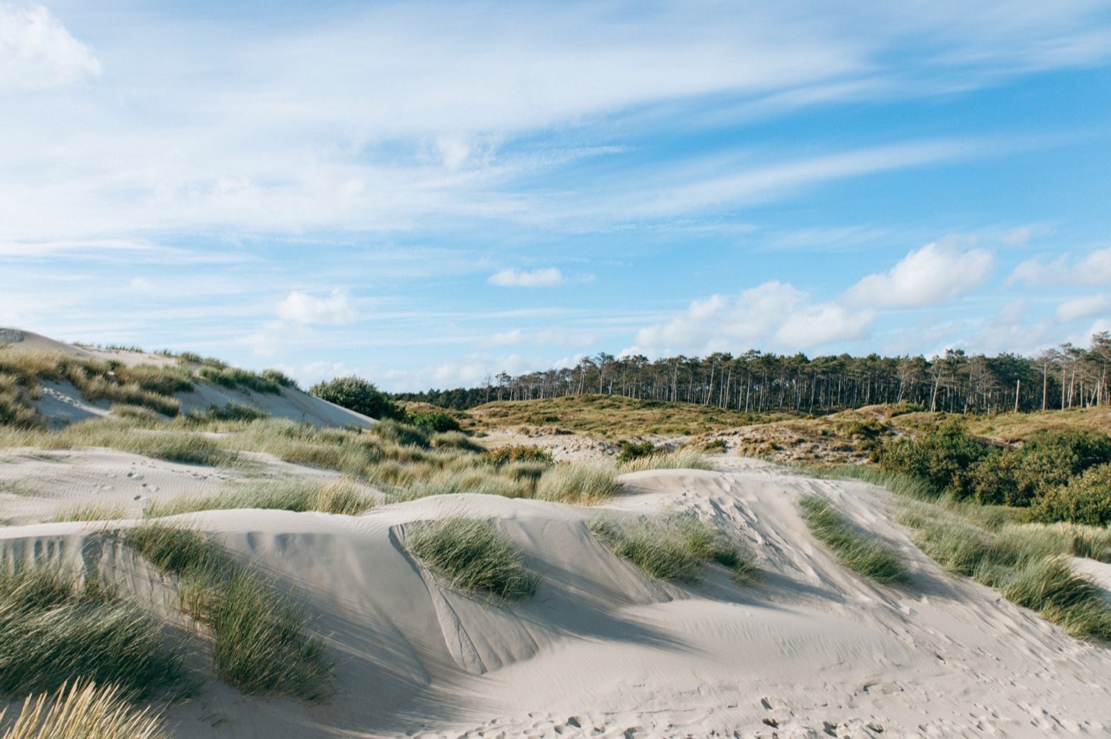 Weg durch die Dünenlandschaft bei Burgh-Haamstede
