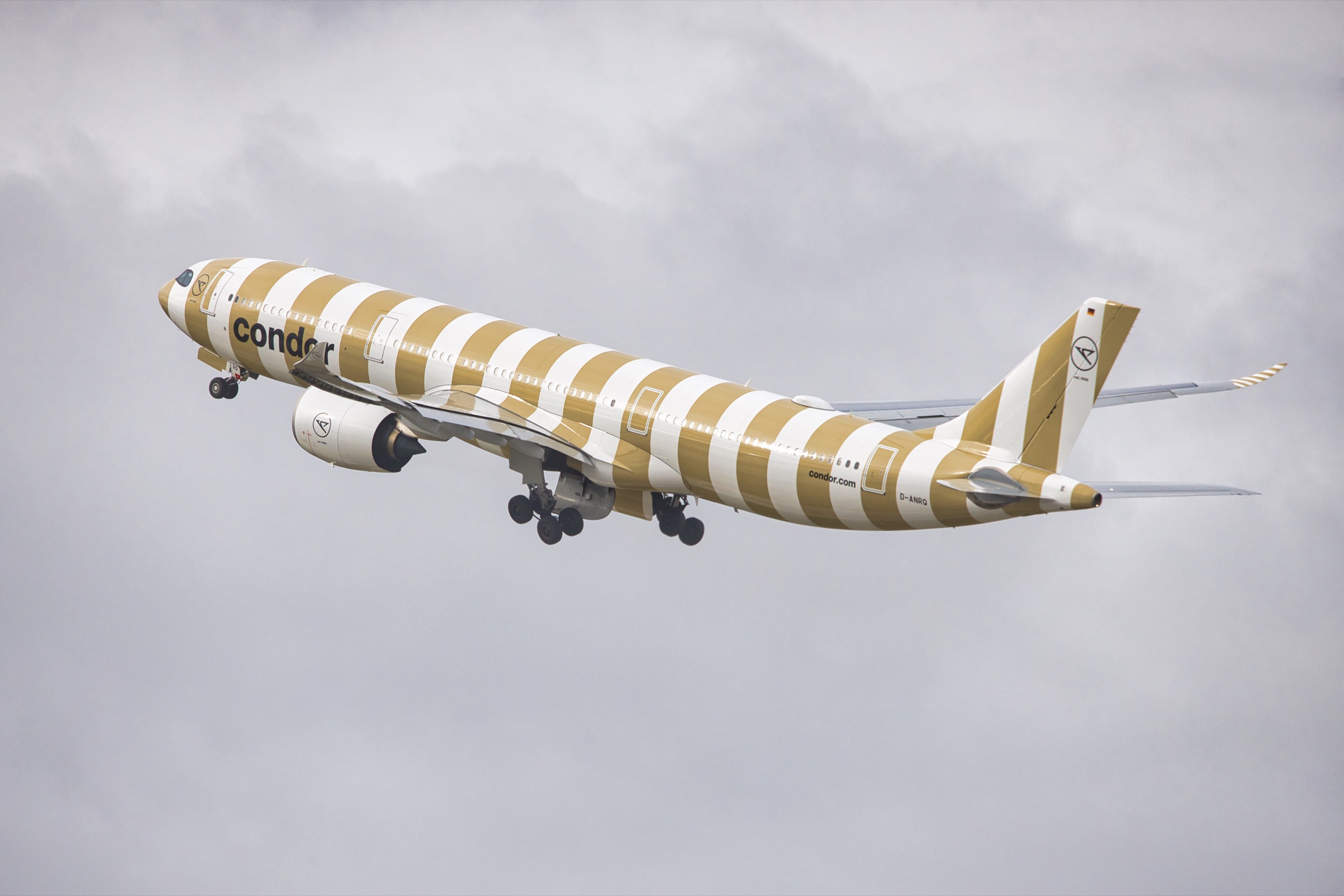 Condor D-ANRQ · EDDL-DUS · Im Flug · Foto 9