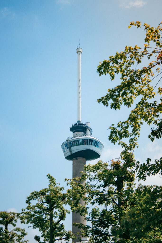 Euromast in Rotterdam vor blauem Himmel, eingerahmt von grünen Baumzweigen