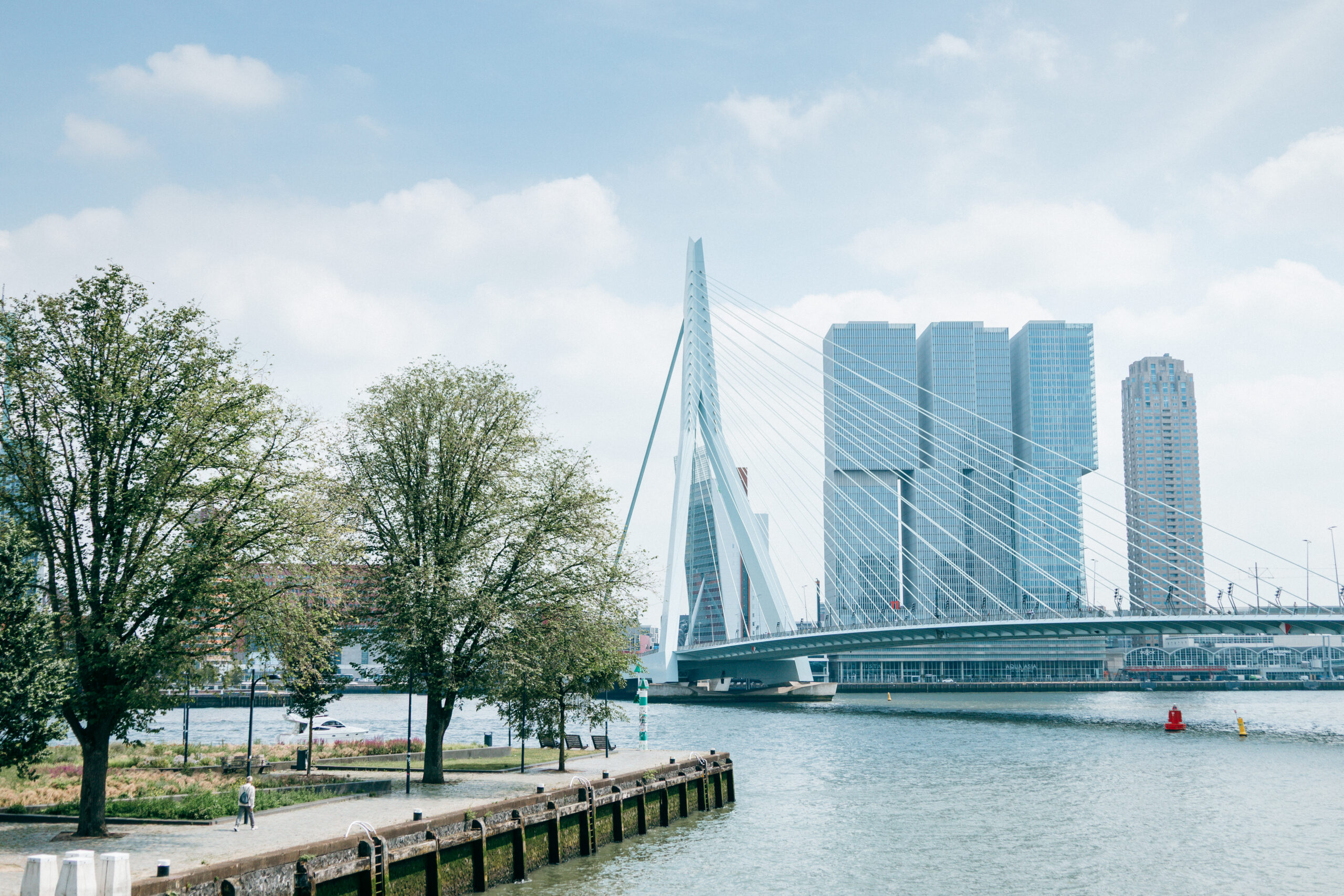 Blick auf die Erasmusbrücke und die Skyline von Rotterdam an der Nieuwe Maas